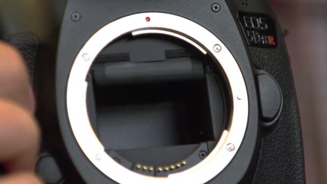 EOS 5DS R обзор эксперта смотреть онлайн