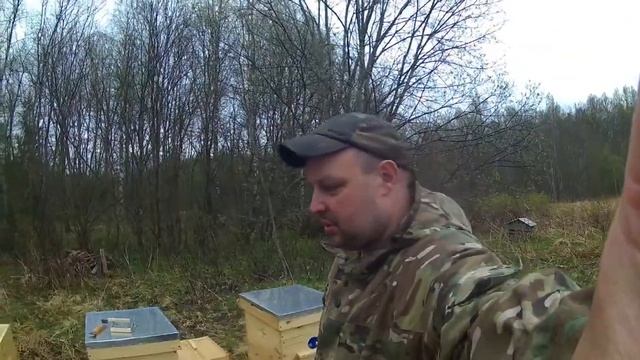 Пчелиная пасека с Нуля. 1 серия смотреть онлайн