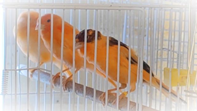 Молодёжь).mp4