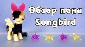Songbird Serenade - обзор игрушки My Little Pony