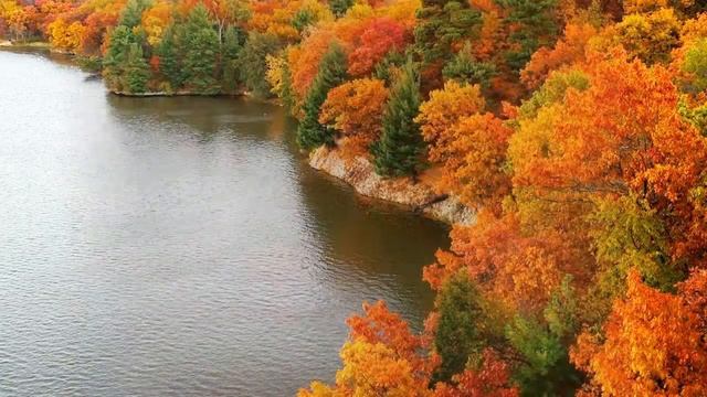 Осенние листья смотреть онлайн