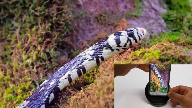 R-TV Box X10 Max Amlogic S905X3 4K TV Box Review смотреть онлайн