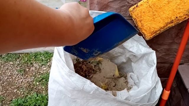 Переезд на юг из Сибири/купили тую смотреть онлайн