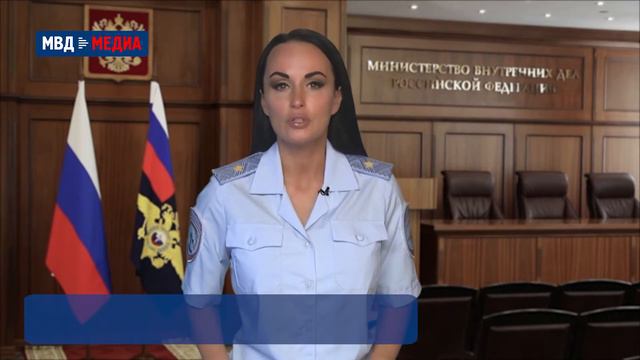 Дело о мошенничестве с копиями картин из Третьяковской галереи направлено в суд смотреть онлайн
