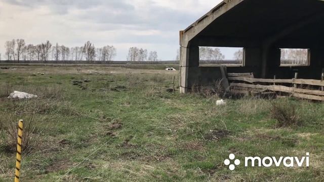 Установка электропастуха Статик 3М смотреть онлайн