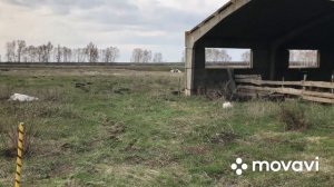 Установка электропастуха Статик 3М