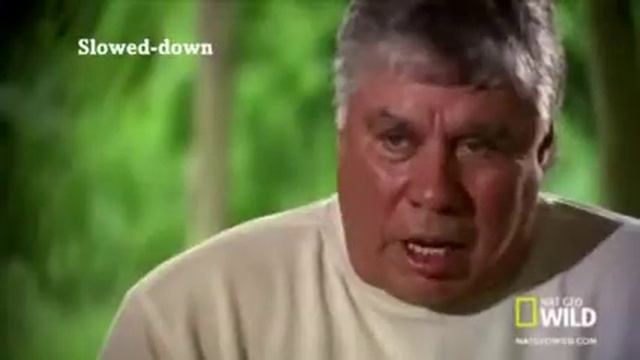 Outcomes Pre intermediate 1 A child's garden of gators FastSpeech смотреть онлайн