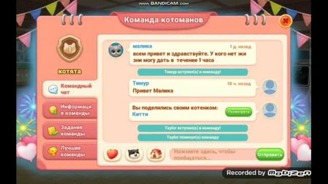 игра про котиков. смотреть онлайн