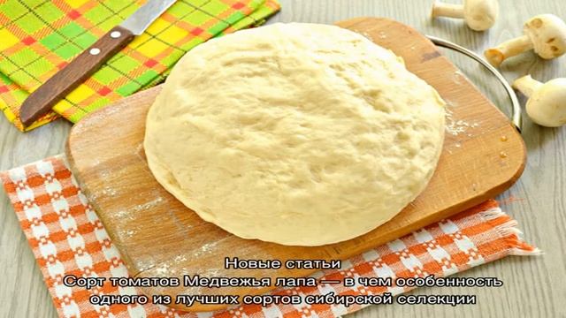 Несколько советов, как сделать пышное дрожжевое тесто для пирогов смотреть онлайн