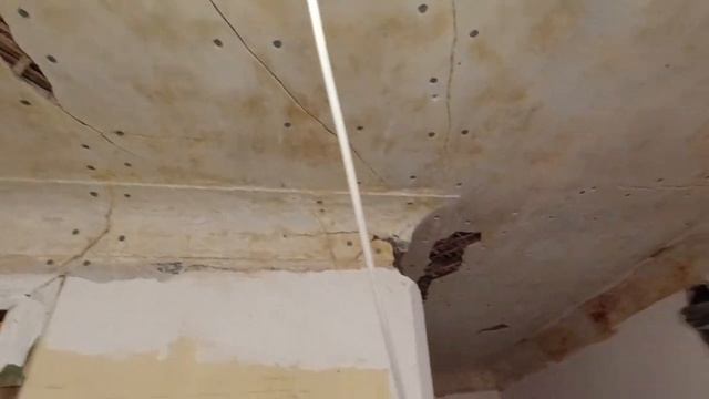 д 37 Первое грунтование. Tiefgrund LKF Alligator грунт глубокого проникновения ( ГГП ). смотреть онлайн