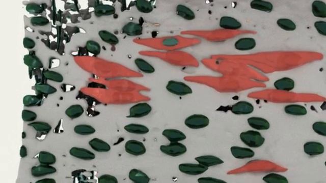 Perfusion Fixed Arterial Segment (Maya Arnold rendering) смотреть онлайн