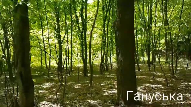 Киев. Лысая гора на Выдубичах. смотреть онлайн