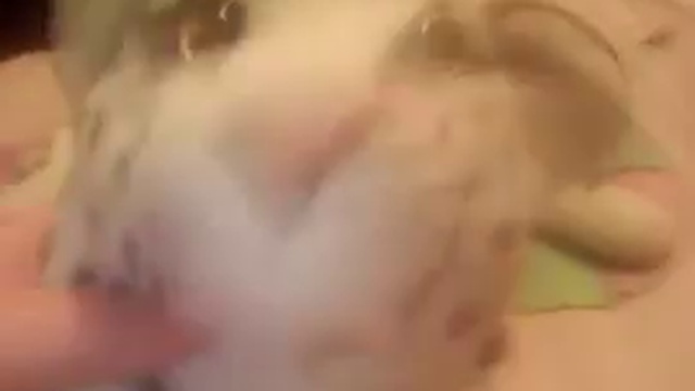 Трейлер оператор шоу 6 смотреть онлайн