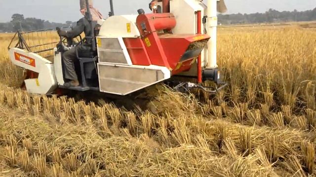 Nipha Combine Harvester working on Muddy Field 1 смотреть онлайн