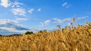 Российские просторы.