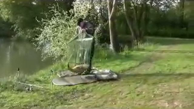 Korum 42" Landing Net смотреть онлайн