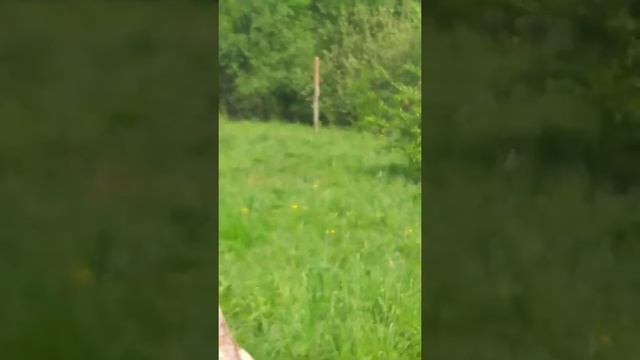 Участок в деревне Камышево смотреть онлайн