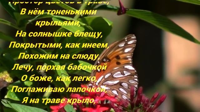 Олег Берез — СОН БАБОЧКИ смотреть онлайн