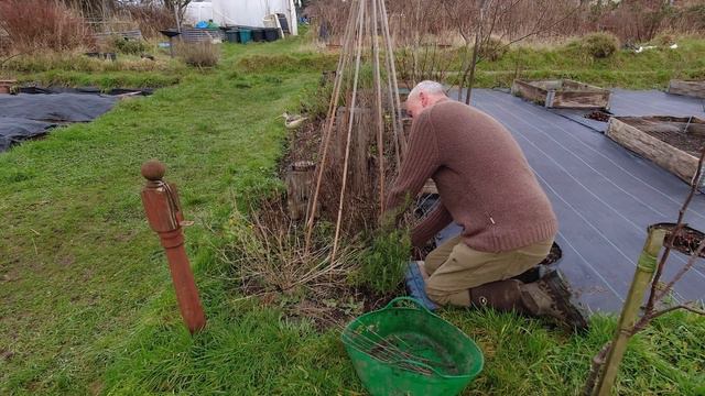 An Early Sowing Of Leeks | Catching Up With Outstanding Jobs | Allotments For Fun And Food
