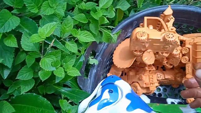 Membersihkan Mainan Mobil Mobilan, Truck Molen, Excavator, Truck Kontainer