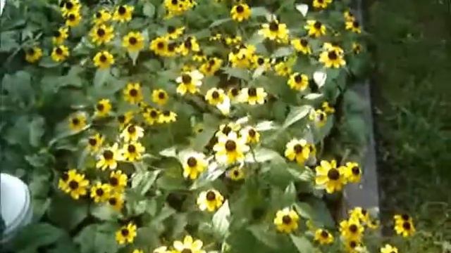 The poisonous flowers w/ epic fail included! EP 6 смотреть онлайн