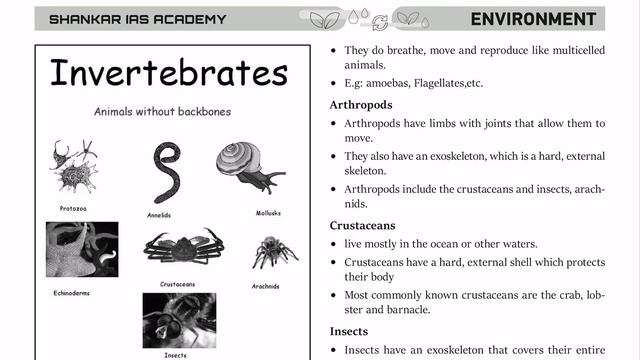 Ecology part 10 смотреть онлайн
