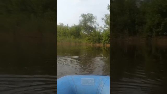 дрессировщик крокодила))) #рыбалка смотреть онлайн