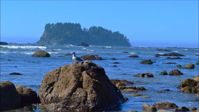 Olympic National Park смотреть онлайн