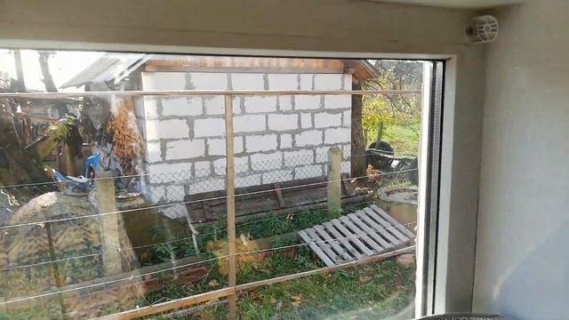 Утепление подоконника для цитрусов. Мой взгляд смотреть онлайн