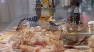 О вкусной и вредной еде(авторская песня Тимур Шаов)