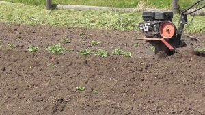 Фрезы для окучивания картошки и окучник своими руками.Первое окучивание новым инструментом.