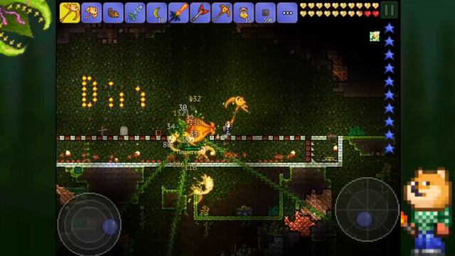 МОЖНО ЛИ ПОБЕДИТЬ ПЛАНТЕРУ БЕЗ БРОНИ // TERRARIA MOBILE смотреть онлайн