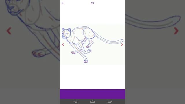 Рисуем животных по этапно! смотреть онлайн