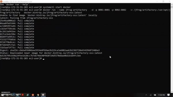 Artifactory install docker | How to install Jfrog-Artifactory using Docker