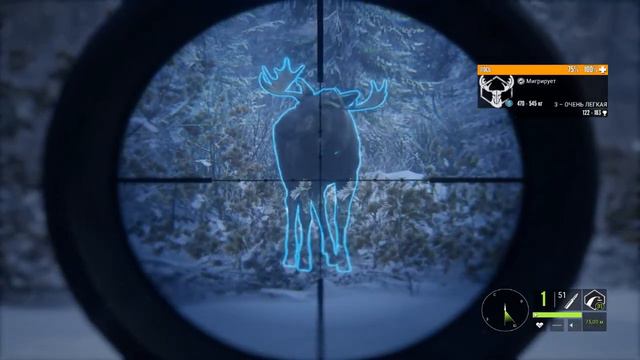 TheHunter Call of the Wild ЛЕГЕНДАРНЫЙ МЕДВЕДЬ # 147 смотреть онлайн