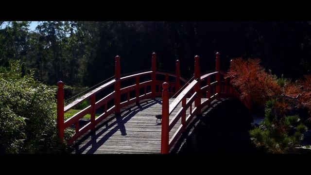 Coffs Harbour GDM Design смотреть онлайн