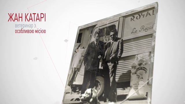 Дізнайтесь більше про компанію ROYAL CANIN смотреть онлайн