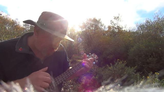 Figure 8 (Ellie Goulding) Ukulele cover (chords in the description) смотреть онлайн
