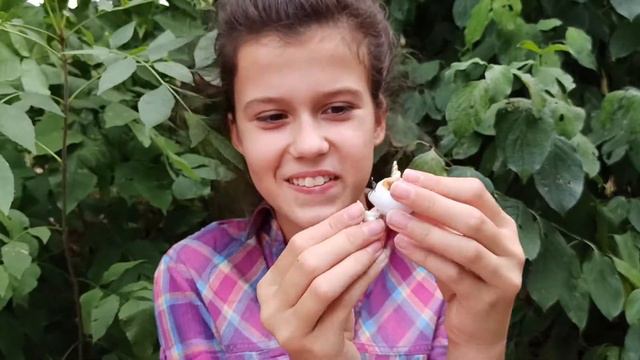 Дана и Рита распаковка сюрприз Dana and Rita unboxing poopsie cutie tootsie surprise смотреть онлайн