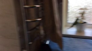 Как защитить окна от проникновения солнечных лучей