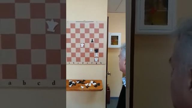 Задание по шахматам смотреть онлайн