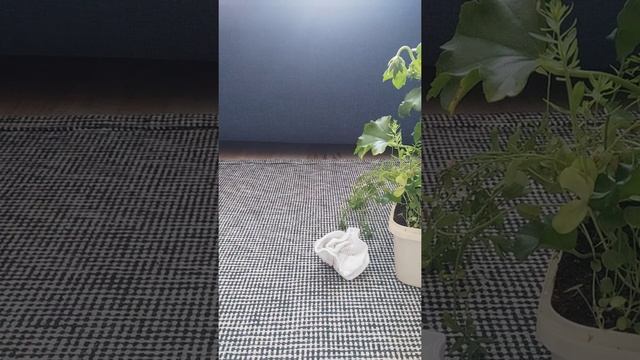 #таро попросить ли этого человека о помощи ❓ смотреть онлайн