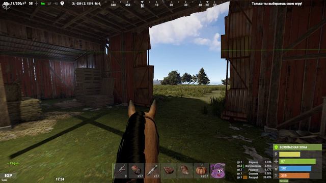 RUST 2024.06.08 - 11.19.27.01