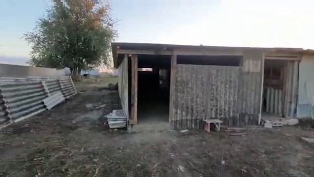 Стройка нового сарая , КОНКУРС , сарай для свиней и крс смотреть онлайн