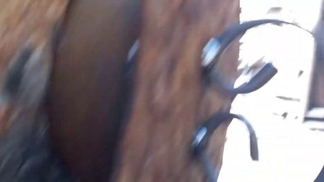 Производство древестного угля/ Печь для производства древестного угля смотреть онлайн