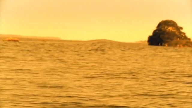 MEGA PIRANHA / MUSIC VIDEO смотреть онлайн