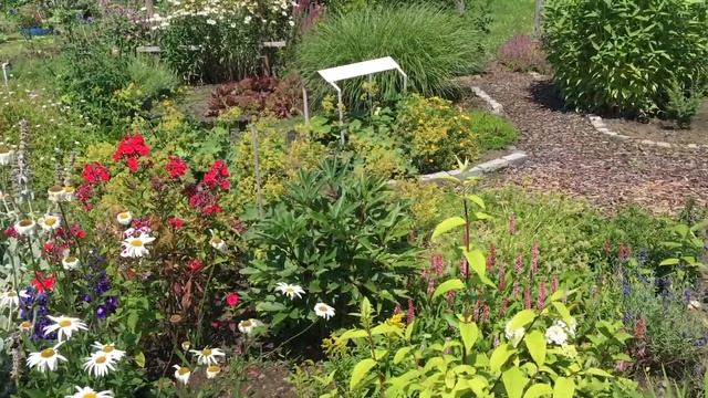 Сады и огороды в Германии. Июль 2021./Gardens In Germany.