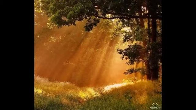 Видеопоэзия. Юн Инна. Стихотворение Татьяны Рыжовой "Родная сторона". смотреть онлайн