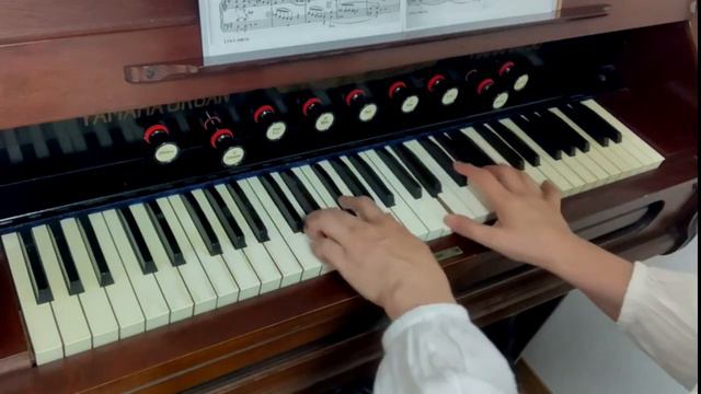 Luigi Bottazzo　Liturgical Organist　リードオルガン смотреть онлайн