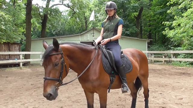 Галоп, контргалоп и галоп не с той ноги. В чем разница? смотреть онлайн